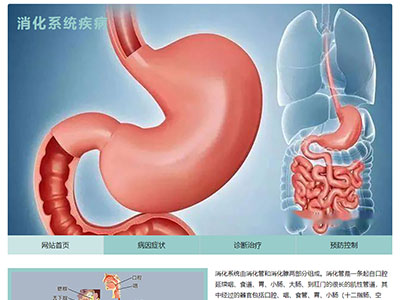 html网页模板医生消化系统疾病主题学生html网页作业