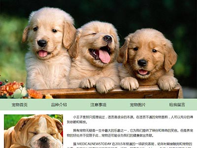 dw网页设计制作宠物主题html静态网页成品源码