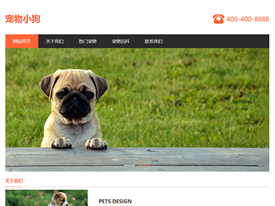 web网页设计宠物小狗动物主题网页模板成品