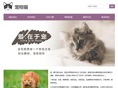 宠物猫web期末网页大作业