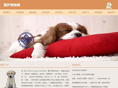 html静态网页设计宠物狗网主题网页设计模板源码